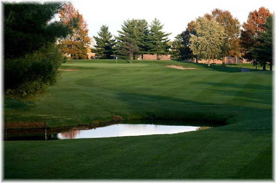 #10 Fairway vallevista10.jpg